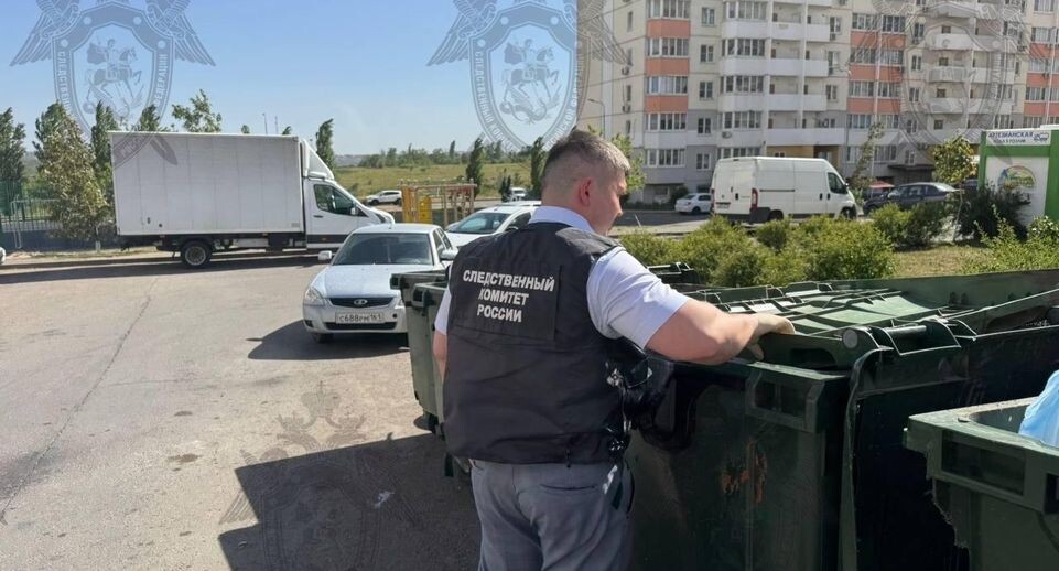    Пресс-служба СК по Ростовской области