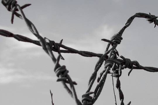    В Соликамске загорелась колония «Белый лебедь»