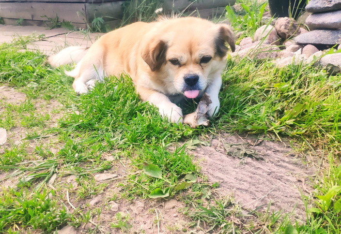 Фу, какая гадость эта ваша косточка