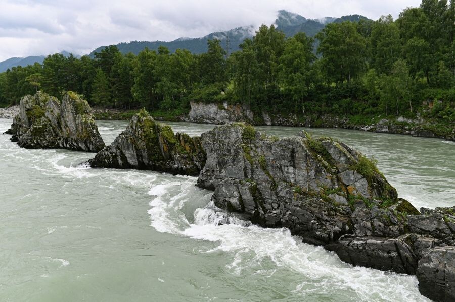     / Источник: © Алексей Мальгавко/РИА Новости