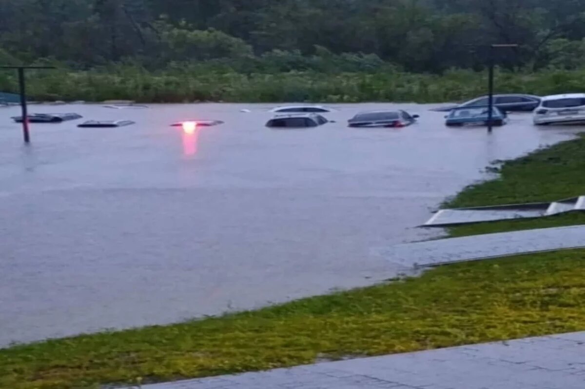    Львов частично затопило из-за вышедшей из берегов реки Зубры