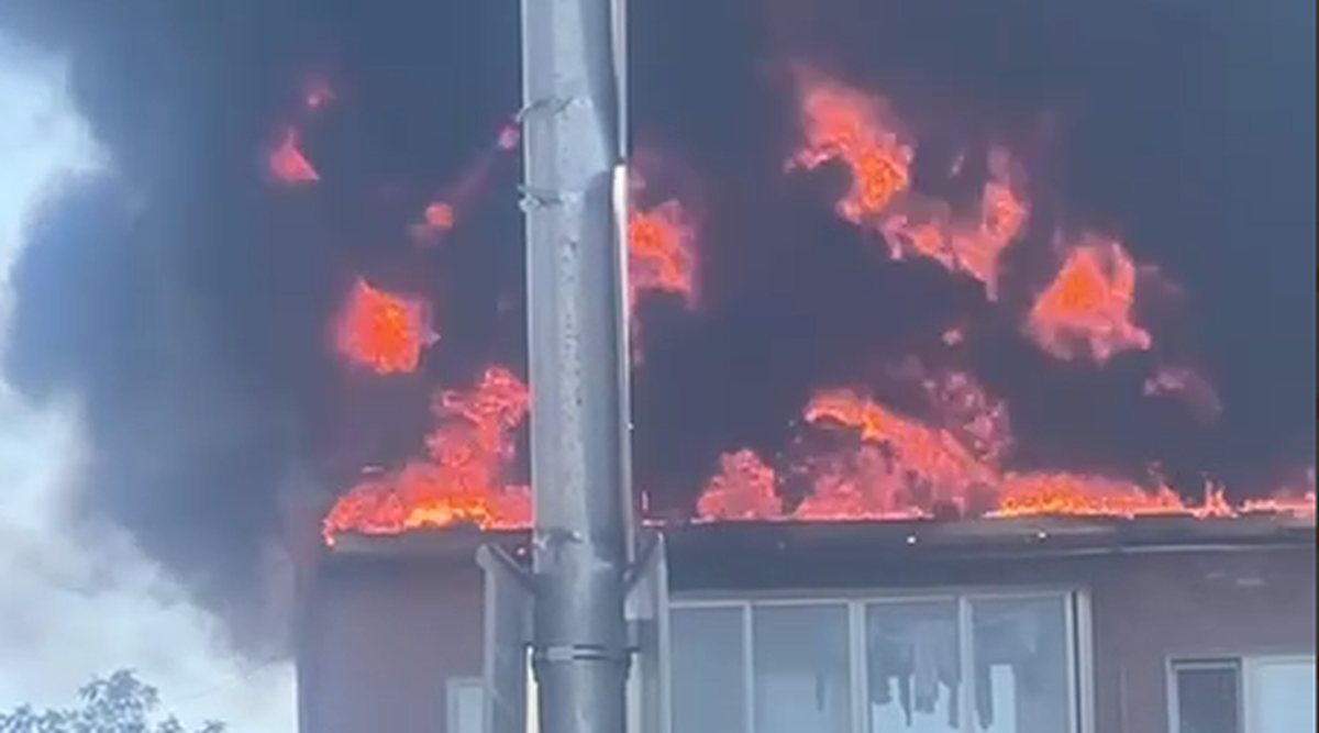    Фото: скриншот с видео / «Типичное Пушкино» / Telegram