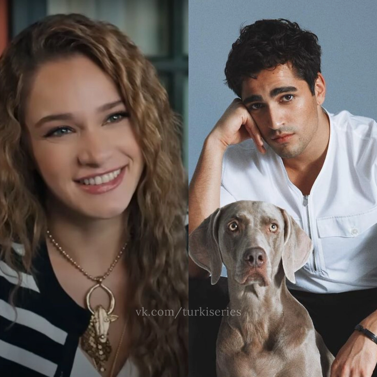 Фото из открытых источников интернета 