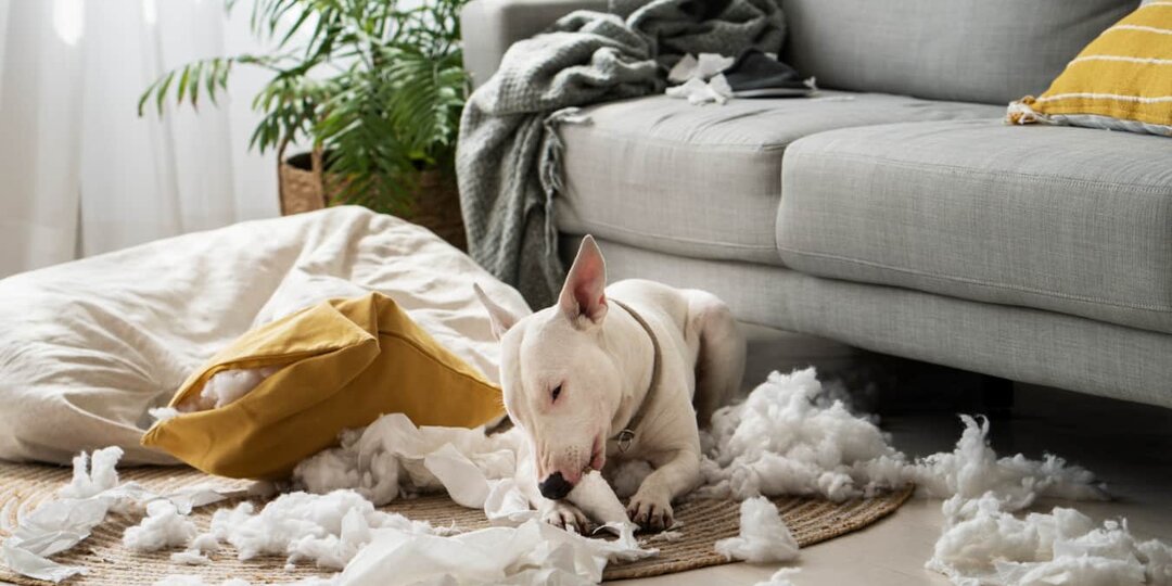 Как избавиться от пыли в квартире навсегда: 7 простых шагов для чистоты и свежего воздуха