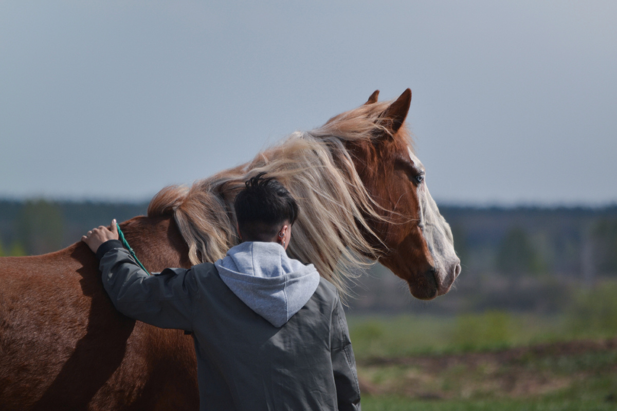 На последнем месте постоя, мы с Дэном идём гулять. Я в процессе создания ранчо, но пока ещё конь находится в другом месте, куда я езжу его навещать каждый день.