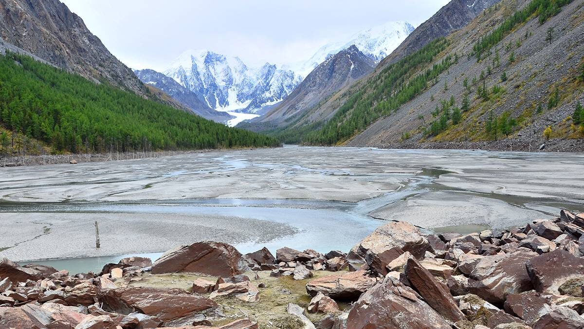    Фото: shutterstock