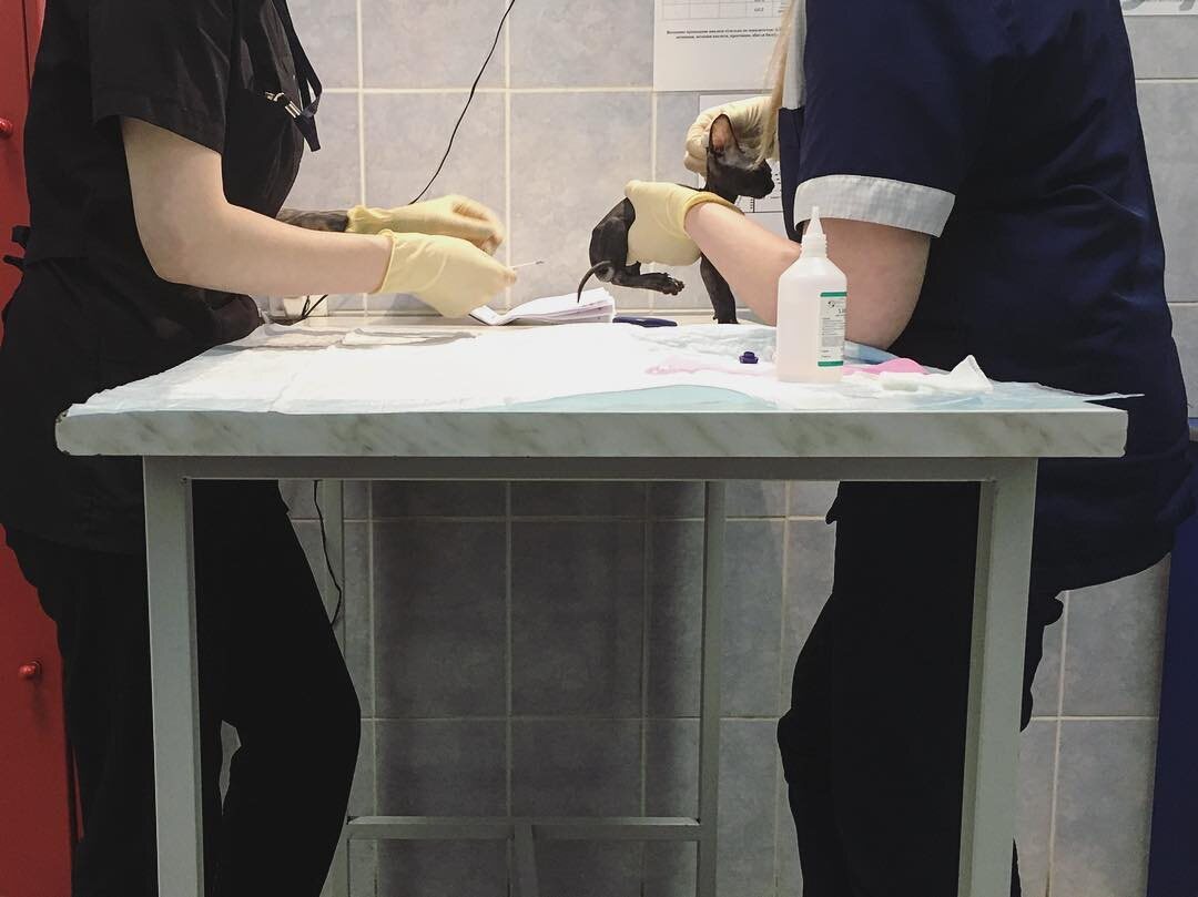 Очередные анализы