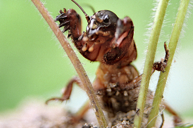    Виноградов Сергей/ТАСС