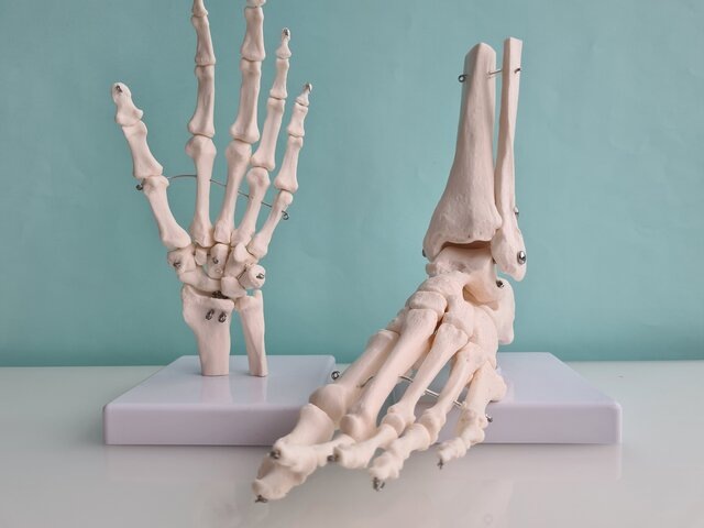    Фото: 123RF/nadezdagorosko