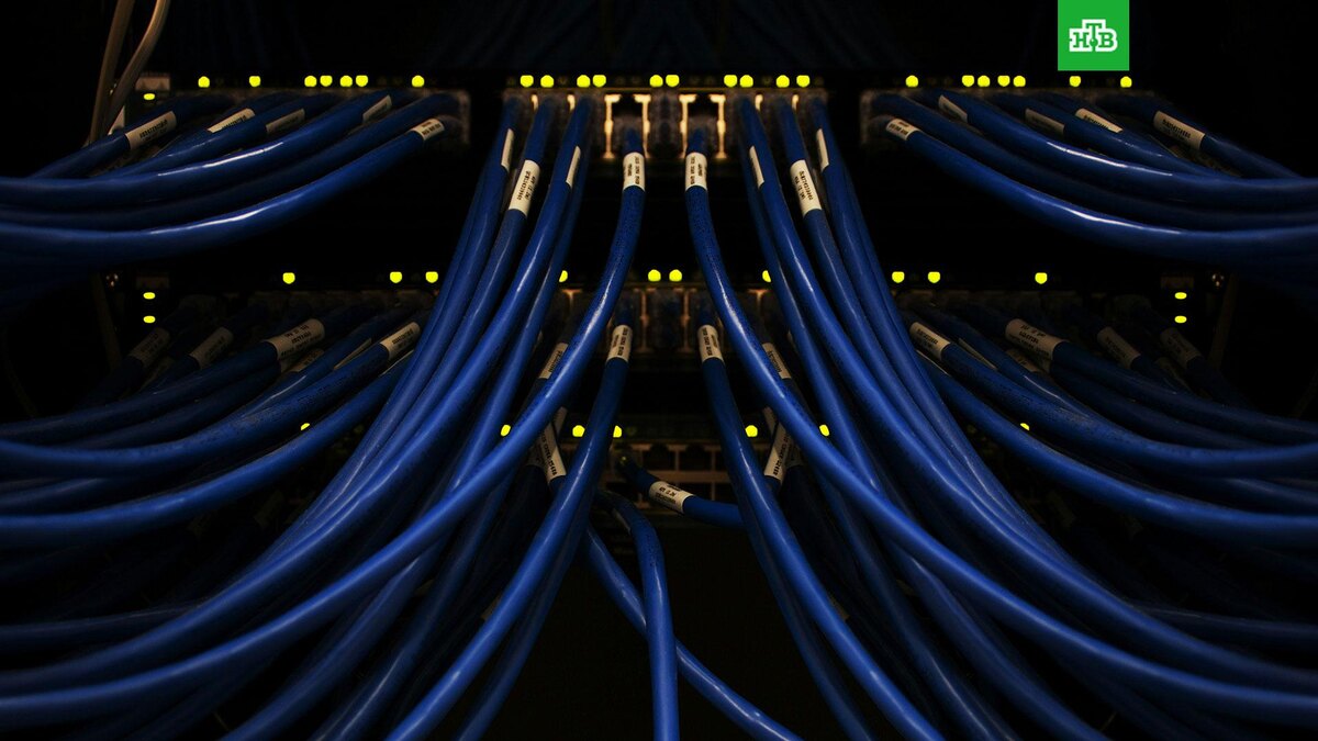    Фото: Scott Rodgerson / unsplash.com