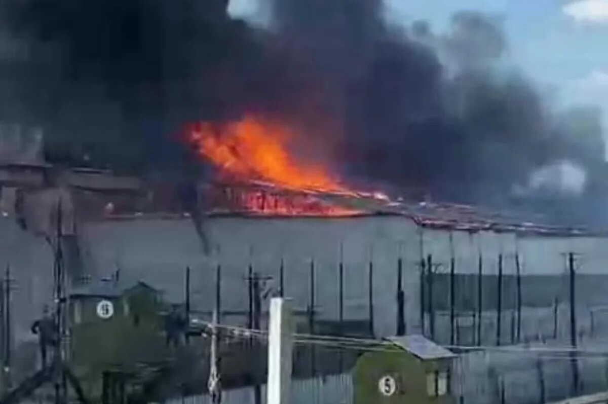    Пожар возле колонии «Белый лебедь» в Соликамске ликвидировали