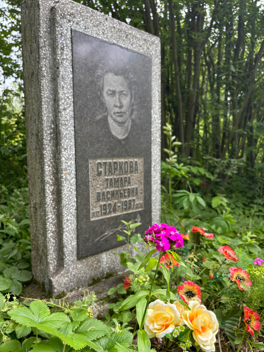 Фото автора. Удивительно, но вот этот цветок, похожий на гвоздичку, никто из нас не сажал, принесло каким-то ветром. А бабушка эти цветы очень любила. Сажала их всегда перед окнами