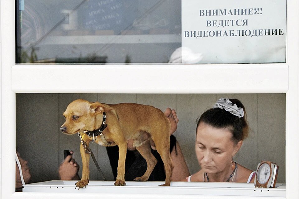 - А вы к кому, гражданочка? Предъявите лапы, уши и хвост! Фото: Александр КРАСНИК