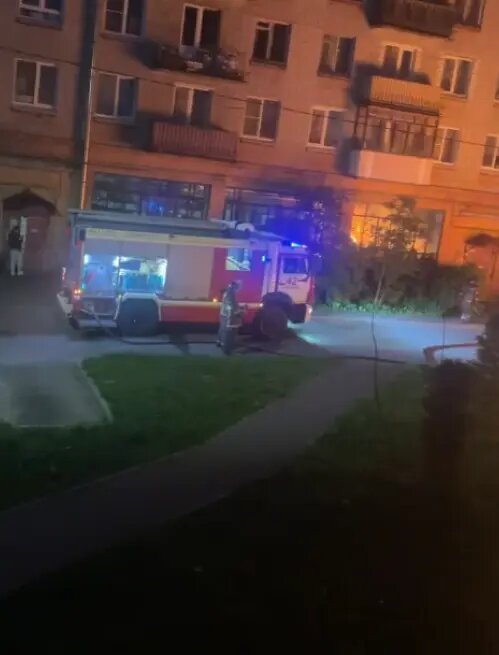    Фото: скриншот видео из группы ВК «АВТО Гатчина»