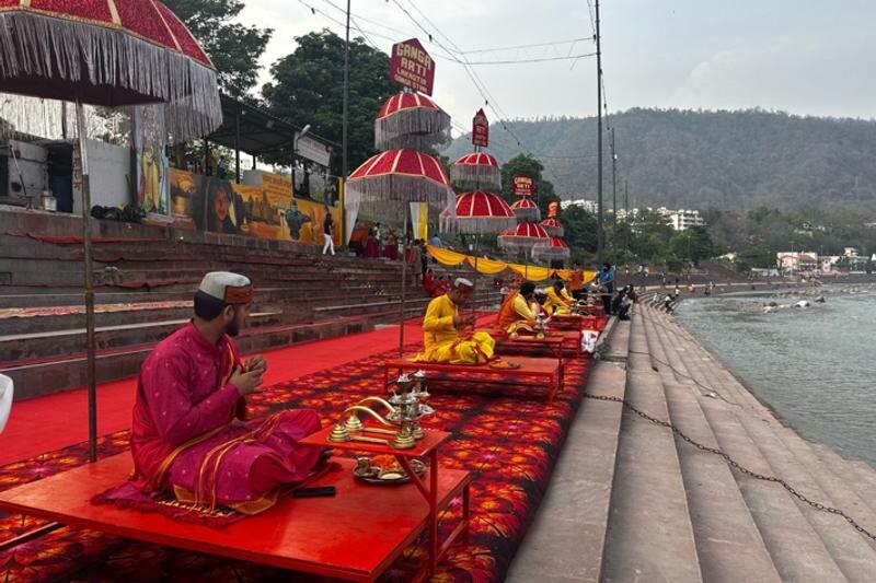    Полина Шарма (Мудрова)