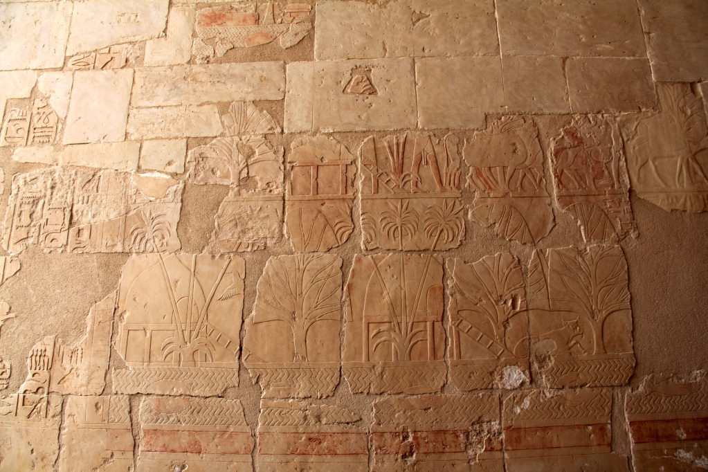 Источник: https://lorien22.livejournal.com/364736.html