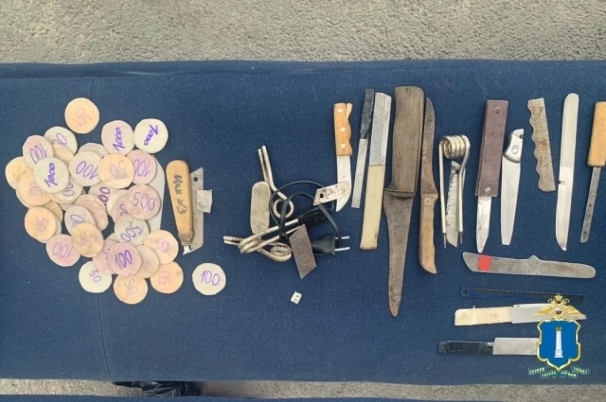    В ульяновской ИК-10 действовала экстремистская организация