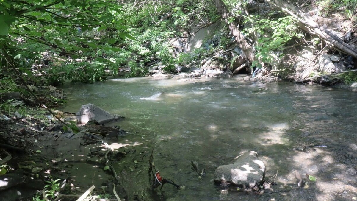     Источник: 1MI