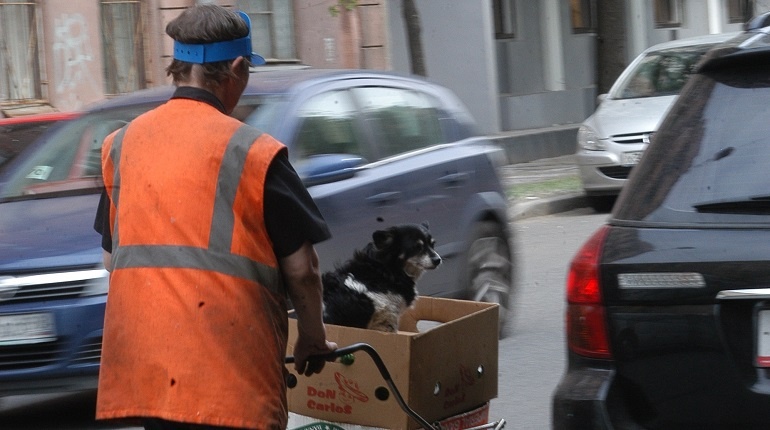    Фото: Baltphoto/ Елена Яковлева
