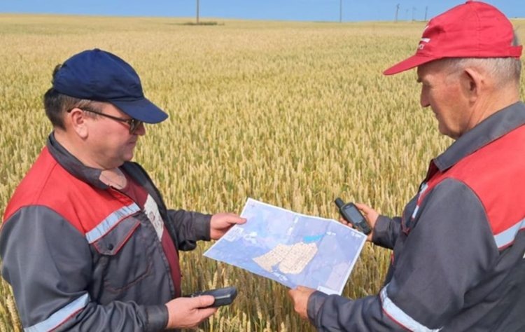    Фото: ФГБУ «РосАгрохимслужба»