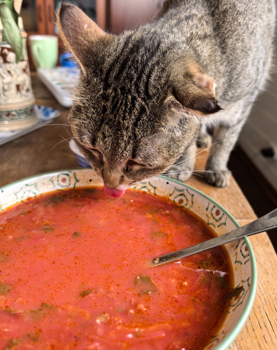 Очень вкусно!