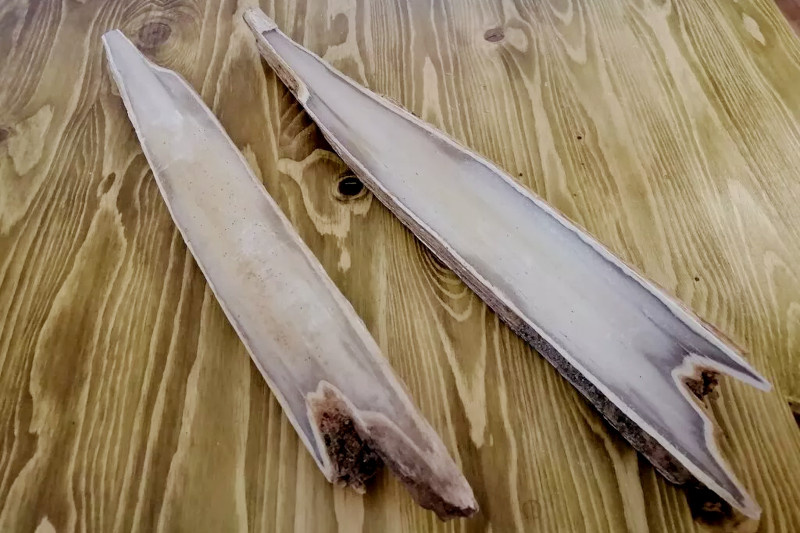    Новый экспонат музея (фото: Камышинский историко-краеведческий музей)