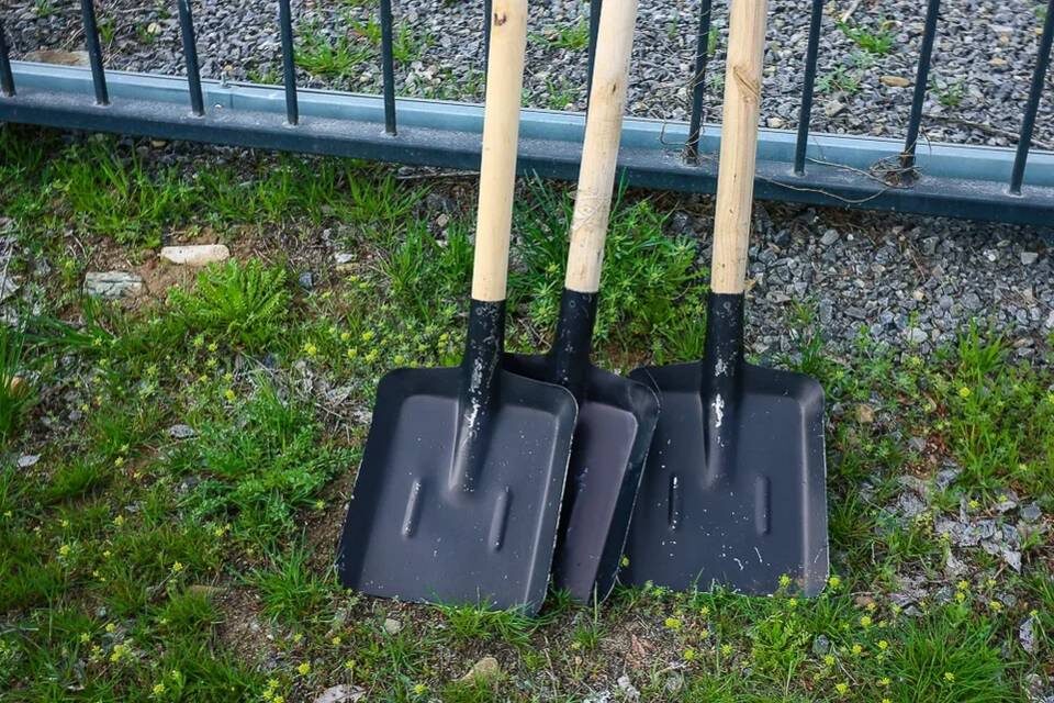    Фото: Дмитрий Рогулин / "Городские вести"