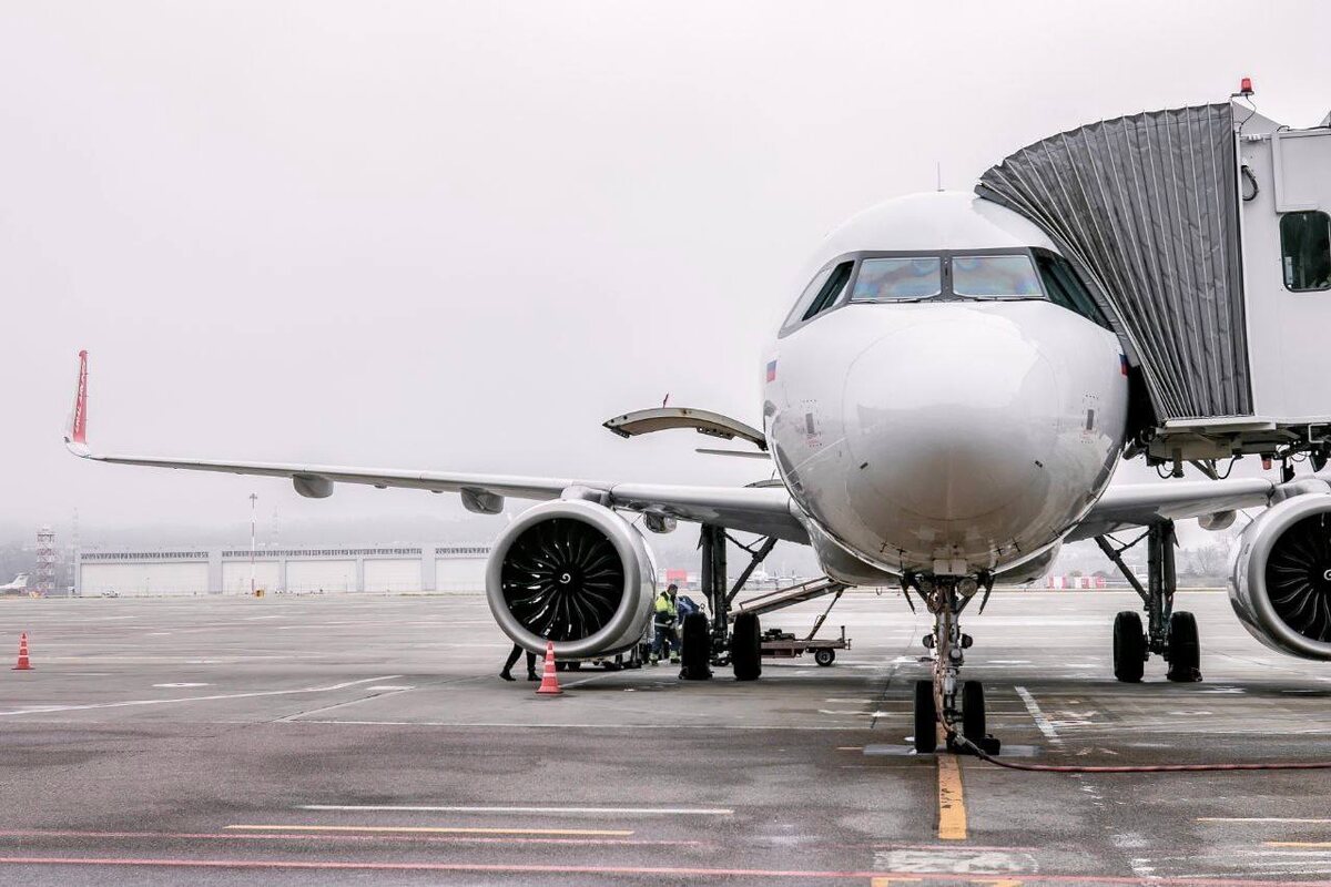    Фото: аэропорт Сочи.