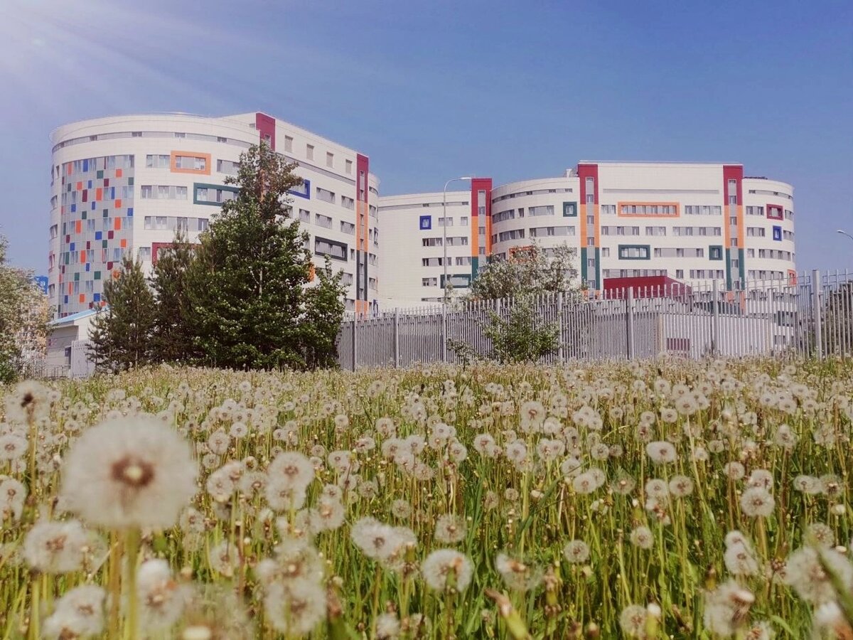    В Сургуте женщина родила первенца в 53 года