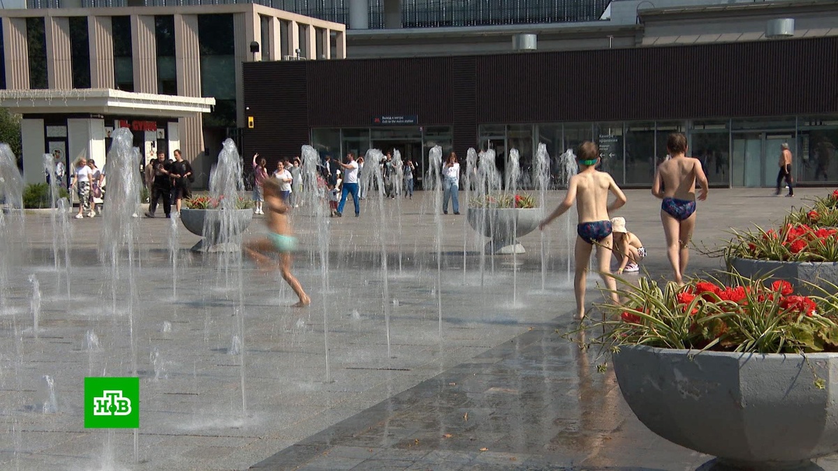    Купание в открытых бассейнах и отдых у водоемов: как москвичи спасаются от жары