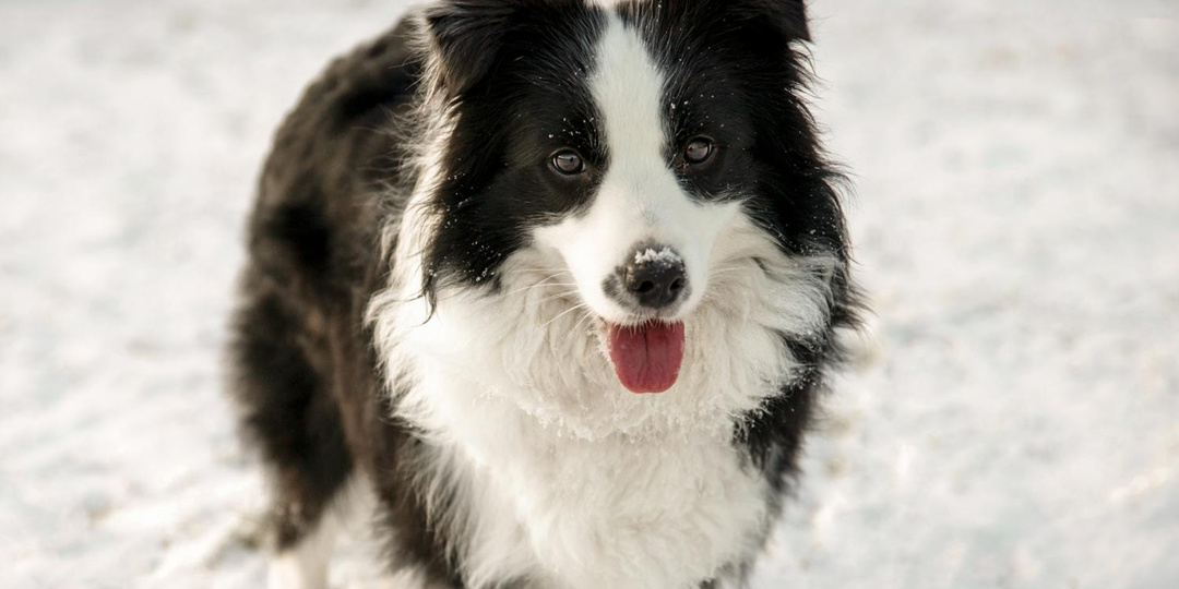 Мгновенная карма