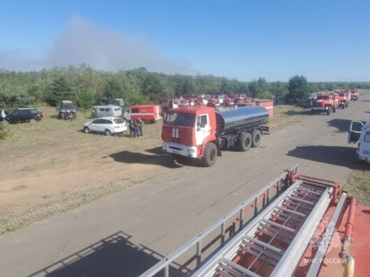    пожар в Каменском лесничестве тушат почти 300 человек // фото: пресс-служба МЧС по Ростовской области