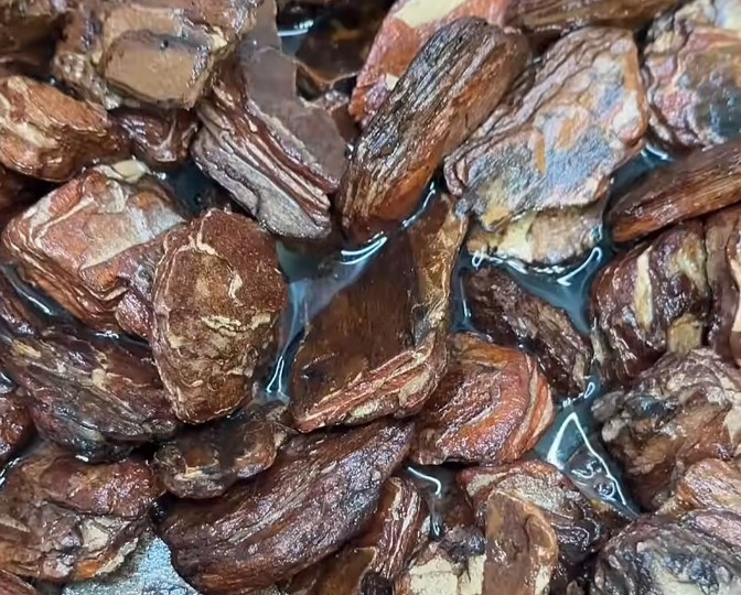 Как АКТИВИРОВАТЬ КОРУ перед посадкой в неё ОРХИДЕИ