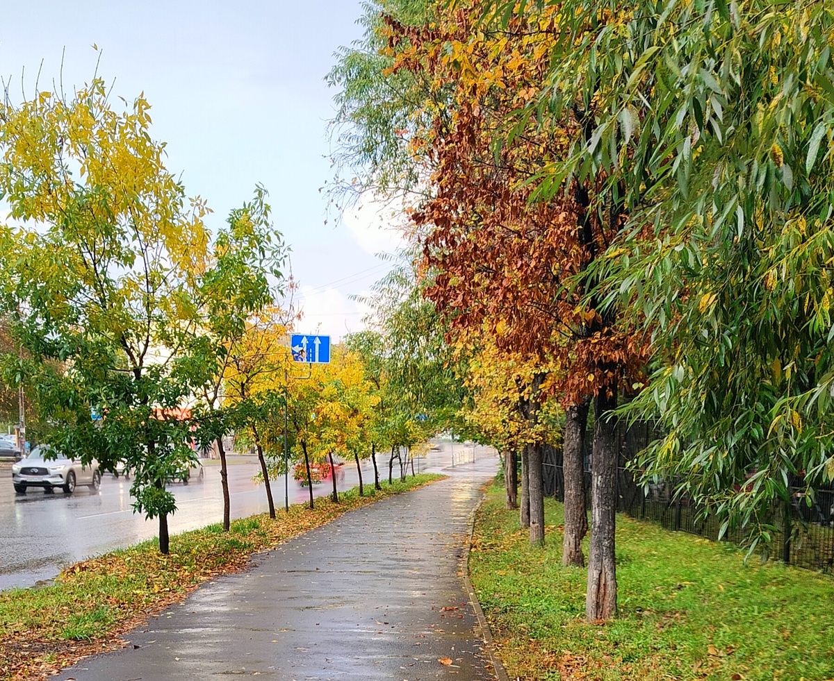 Всё на свете можно исправить, кроме сvvертu.Мигель де Сервантес (1547–1616) — испанский писатель