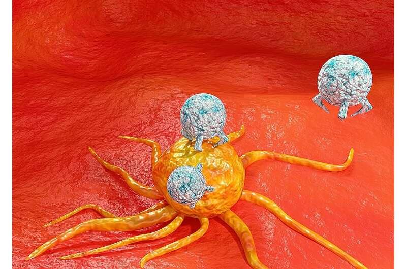 https://scx1.b-cdn.net/csz/news/800a/2025/insured-youre-more-lik.jpg  https://medicalxpress.com/news/2025-07-youre-survive-cancer-immunotherapy-treatment.html