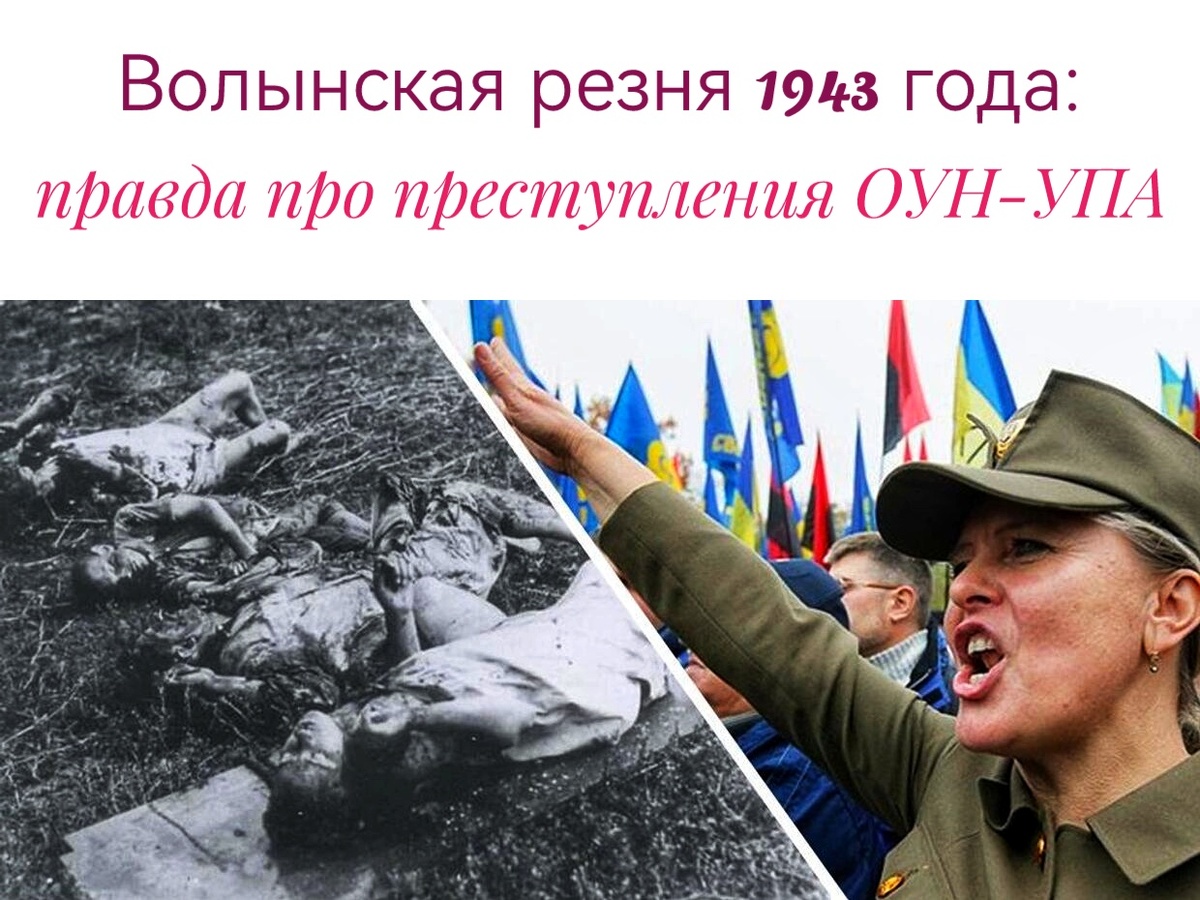 Подписывайтесь на наш канал "Нарполит" и не упустите свежие политические тренды!