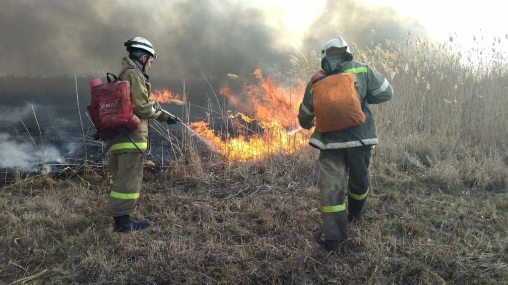 К утру 10 июля площадь возгорания составляла 324 га. В региональном МЧС отмечали, что угрозы населенным пунктам нет.