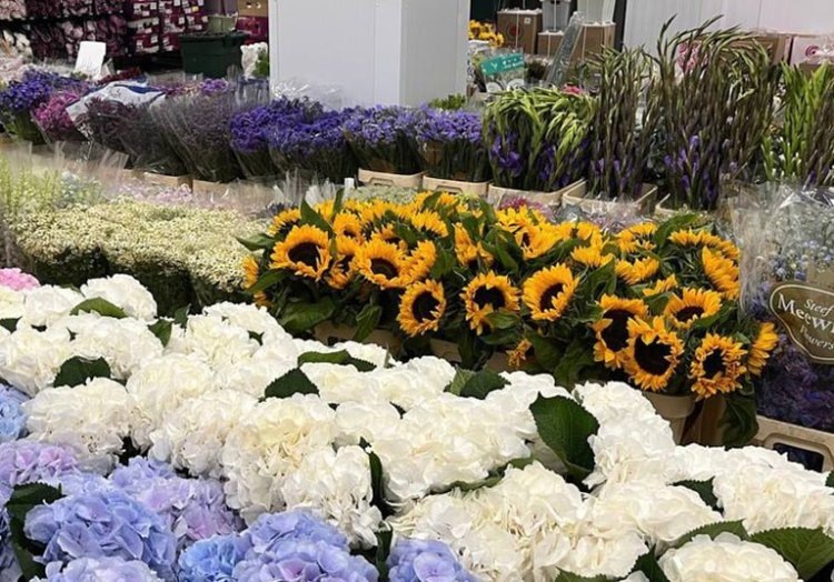    Фото: Правительство Пермского края