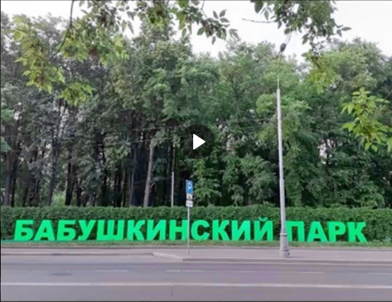 Как «Яуза» «захватила» Бабушкинский парк культуры и отдыха — хронология абсурда