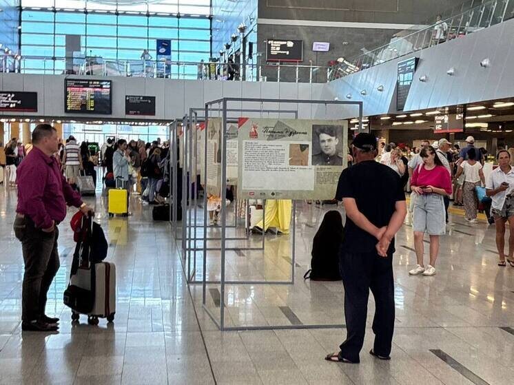     t.me/transport_i_dorogi