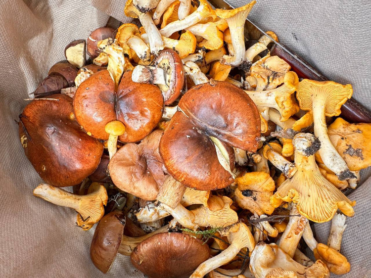    Фото: Юлия Федотова