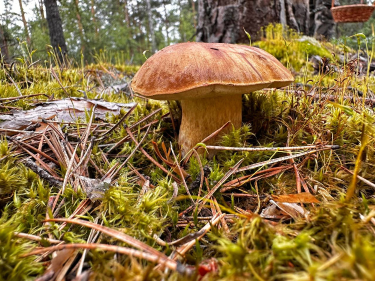 Фото: Юлия Федотова