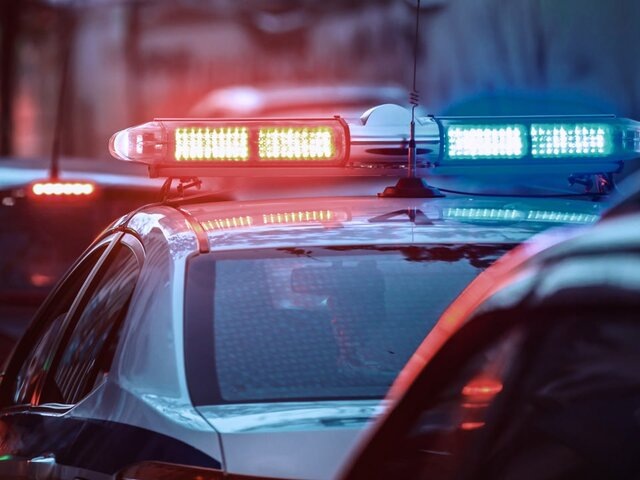    Фото: 123RF/danielt1994