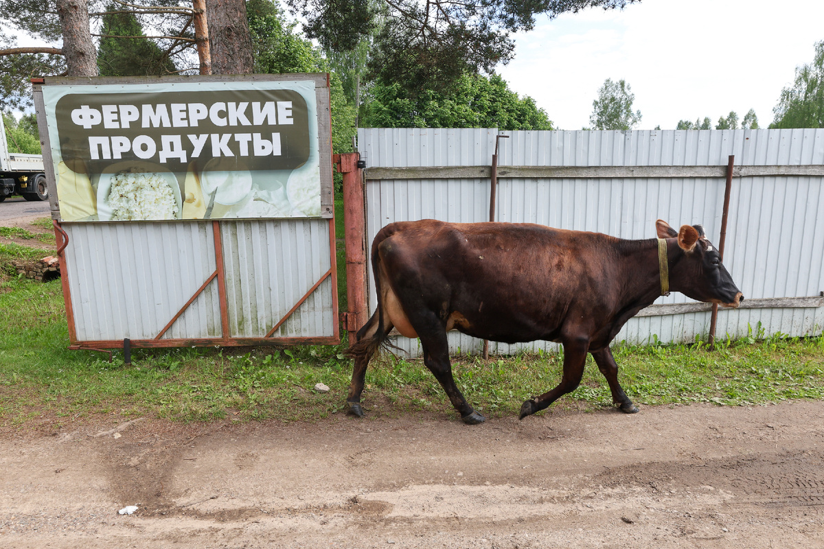 Фото: © Belkin Alexey/ news.ru/ Global Look Press