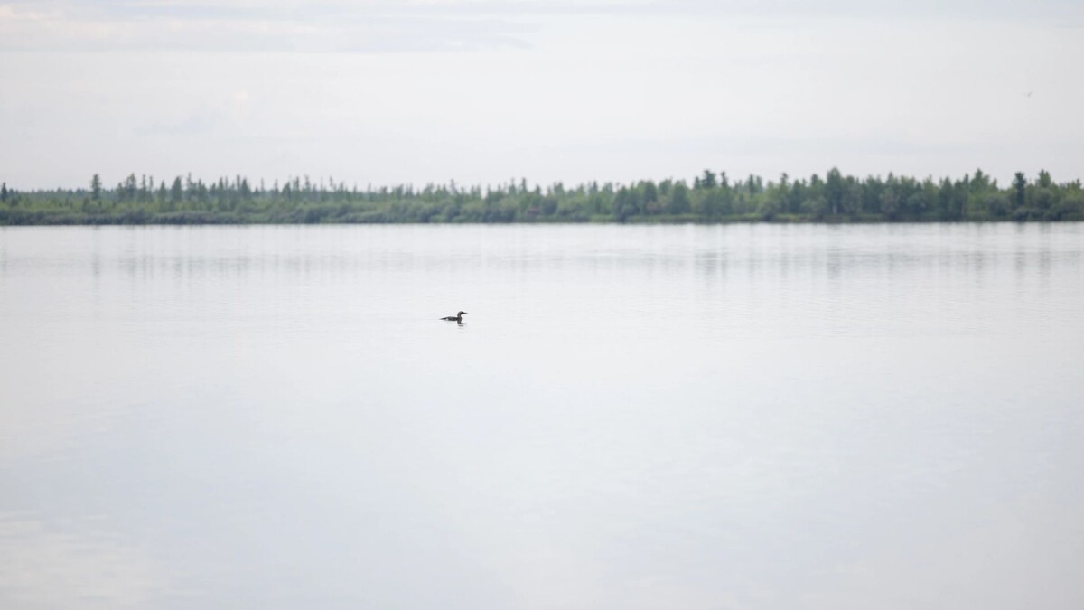    Фото: Федор Воронов / «Ямал-Медиа»