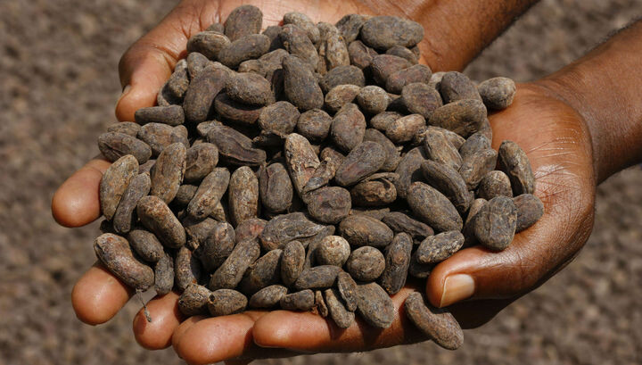 Фото из интернета