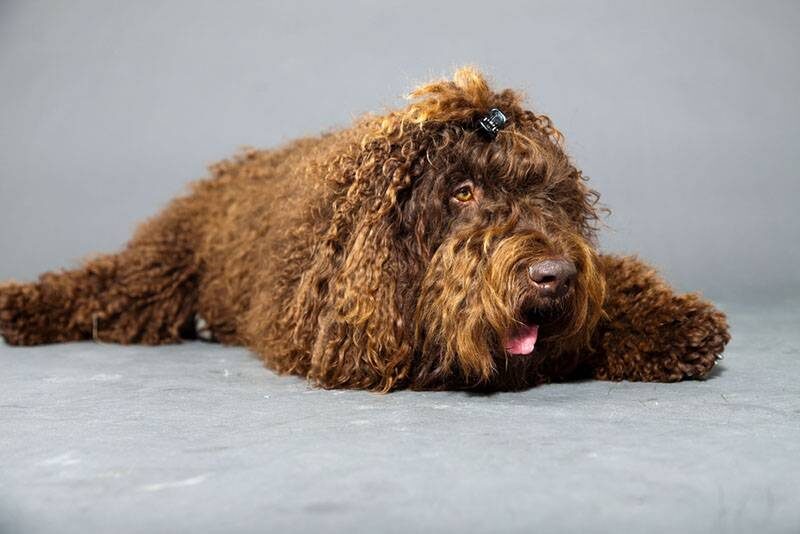 Это было давным-давно...