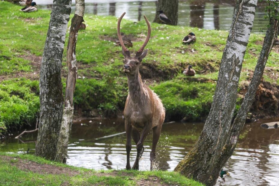    Наталья Шатохина/NEWS.ru