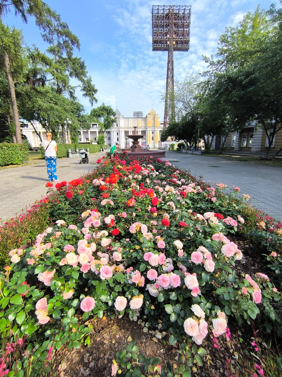 (© Анна, «Маяк энерджайзера)