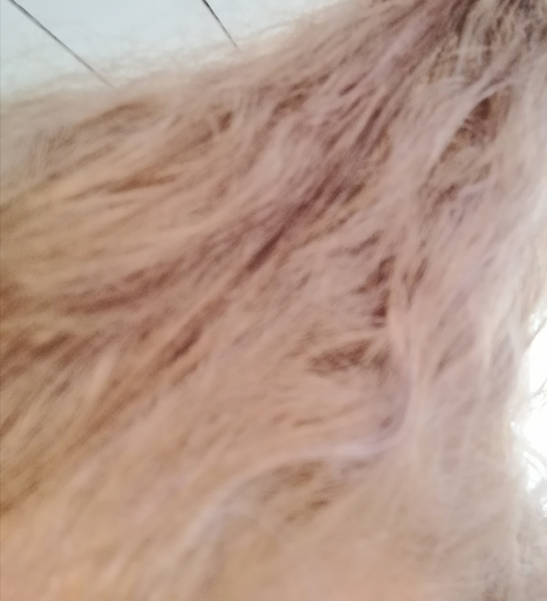 Такая вот фигня получилась. И это на фото ещё прилично.